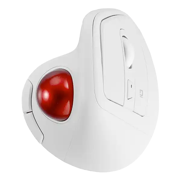 MUS-TRKF248W 真俯瞰